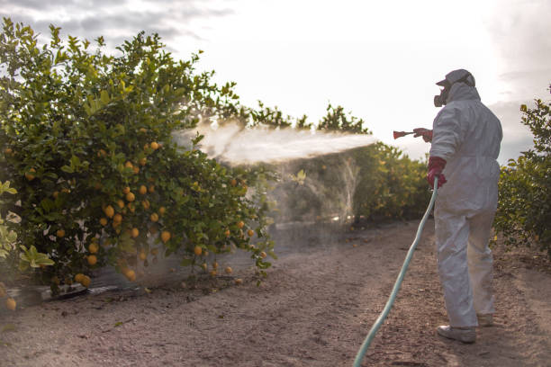 Best Mosquito Control Services  in Chardon, OH
