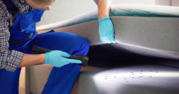 Best Pest Removal Services  in Chardon, OH