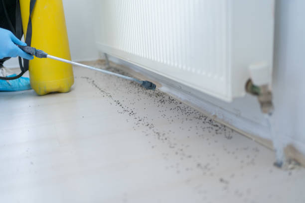 Best Local Pest Control Services  in Chardon, OH